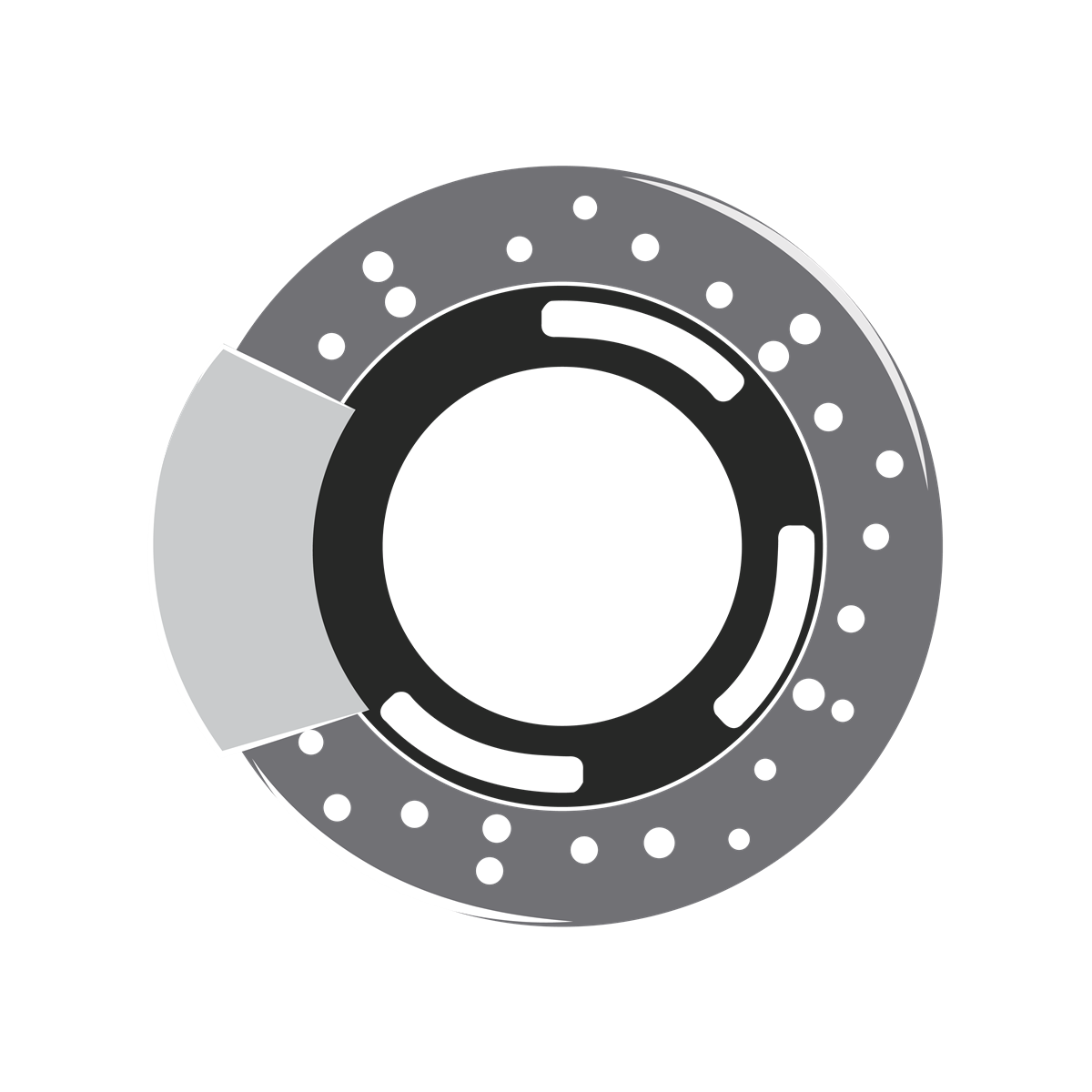 Disc Brake